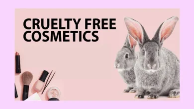An Exhaustive Guide To Organise Your Makeup Kit And An Introduction To Vegan And Cruelty-Free Cosmetics